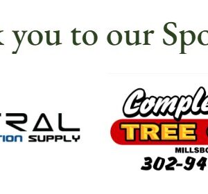 Standard Digital Advertising
