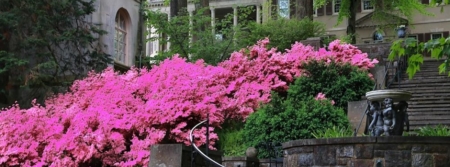 Winterthur Museum, Garden & Library