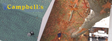 Campbell's Landscape Services